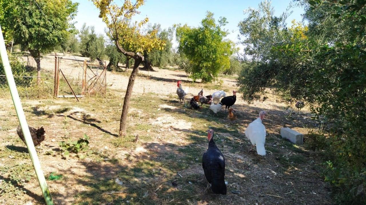 Cortijo La Torre De Caniles La Vega  Экстерьер фото